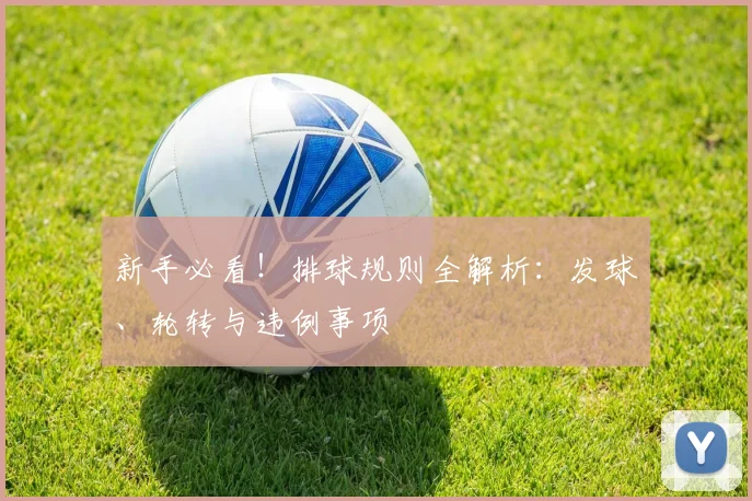 新手必看!排球规则全解析:发球、轮转与违例事项