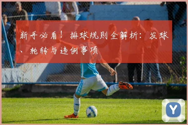 新手必看！排球规则全解析：发球、轮转与违例事项