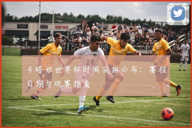 卡塔尔世界杯时间安排公布：赛程日期与观赛指南